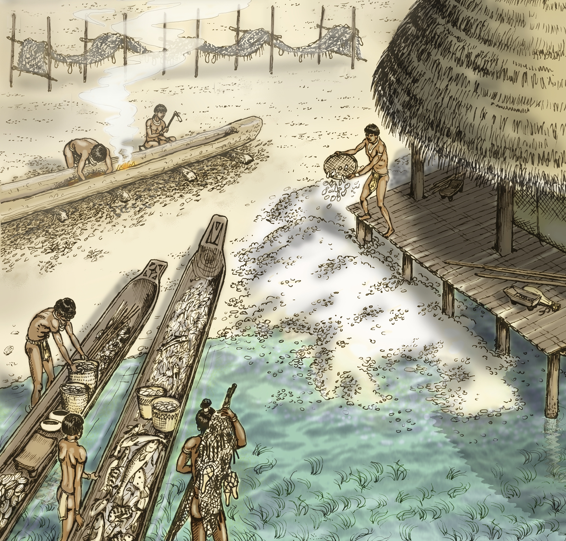 Pictured is an artist rendering of canoes that the Calusa would have used.