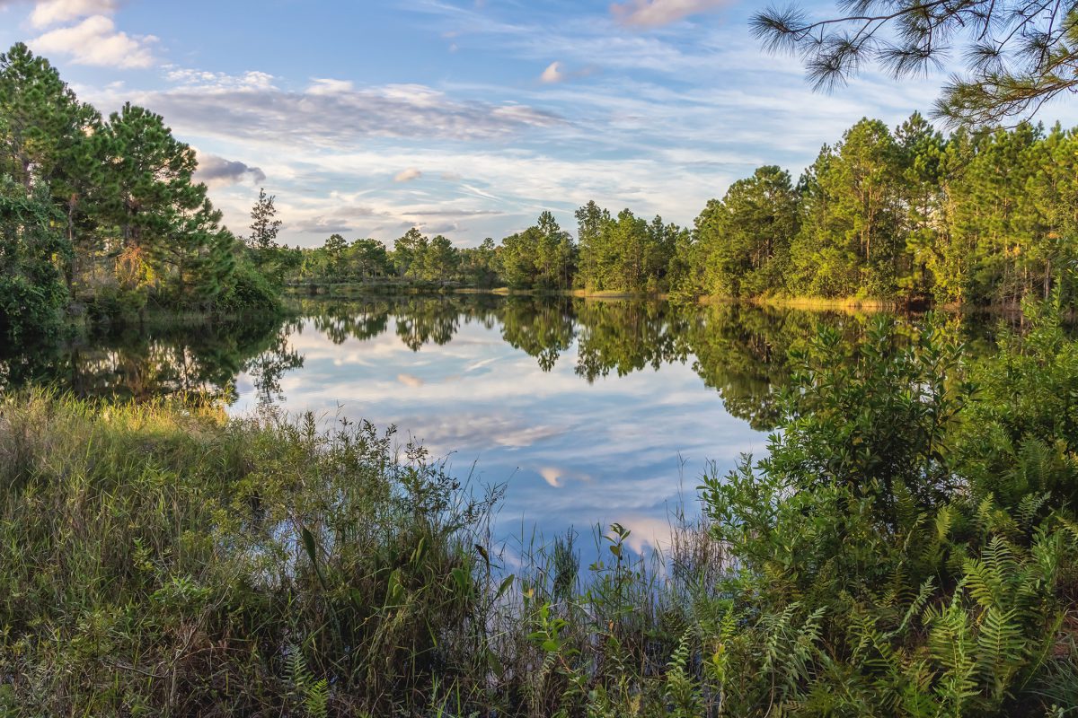 Road to Nowhere? - Peak Florida