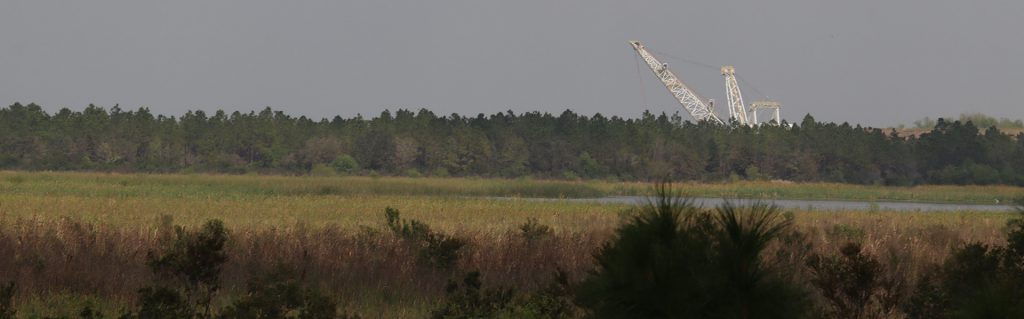 A Mosaic dragline is seen in the distance beyond a Central Florida wetland reclaimed by the Tampa-based phosphate company. (Lauren Whiddon/WUFT News) 
