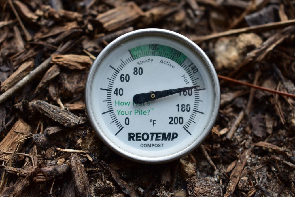 Composting is an exothermic reaction, releasing heat. Robleto monitors the compost pile’s temperature, keeping it above a toasty 140 degrees Fahrenheit.
