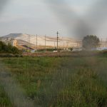 A gypstack in Bartow, Florida, stands tall against the flat Florida landscape. It holds phosphogypsum waste, a radioactive byproduct of phosphate processing, and potential source for rare earth elements. (Serra Sowers/WUFT News)