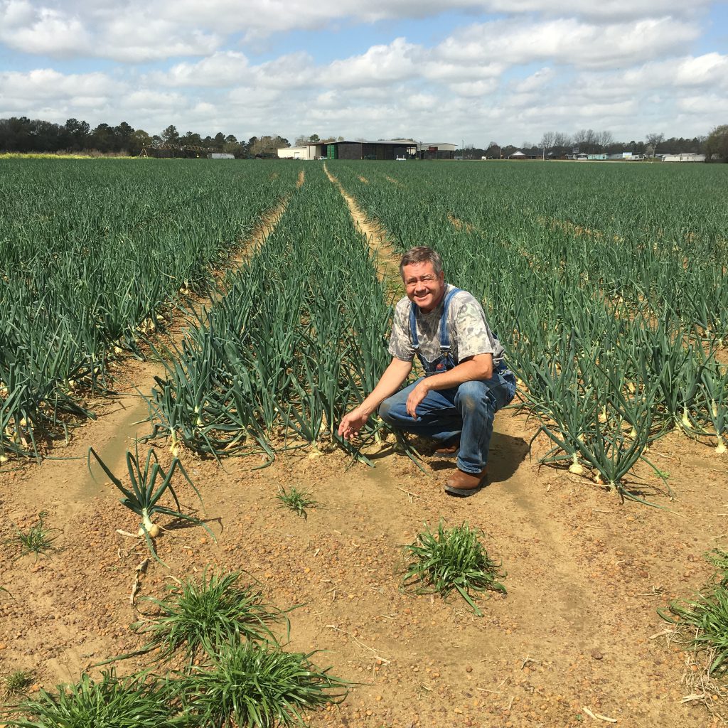 Shad Dasher pauses for a photo on his onion farm in the Vidalia sweet onion growing region in Georgia. Photo courtesy of Shad Dasher