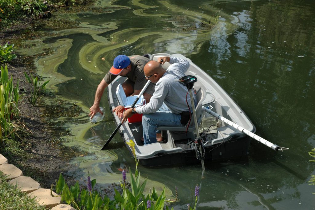 UF Institute of Food and Agricultural Sciences researchers test algae-infested waters in Hillsborough County. More than 100 local governments in Florida have implemented landscape fertilizer bans in an effort to keep nutrients from fouling local waterways. The Florida Legislature wants to ban the bans while UF/IFAS studies their effectiveness. (Photo courtesy Edward Phlips, UF/IFAS School of Forest, Fisheries and Geomatics Sciences)
