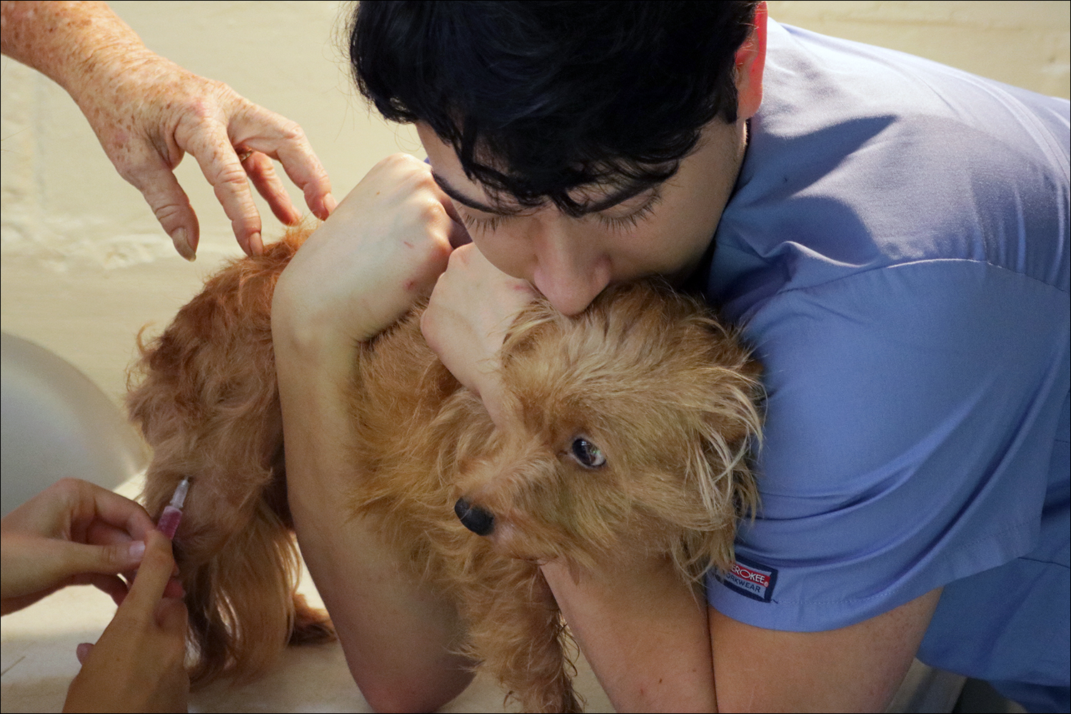 David Rodriguez comforts Blondie as she receives her shots. (Kaitlin Hall/WUFT News)