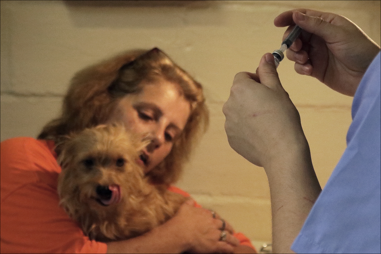Pamela Campell holds her dog, Blondie, as she gets caught up on all of her shots. (Kaitlin Hall/WUFT News)