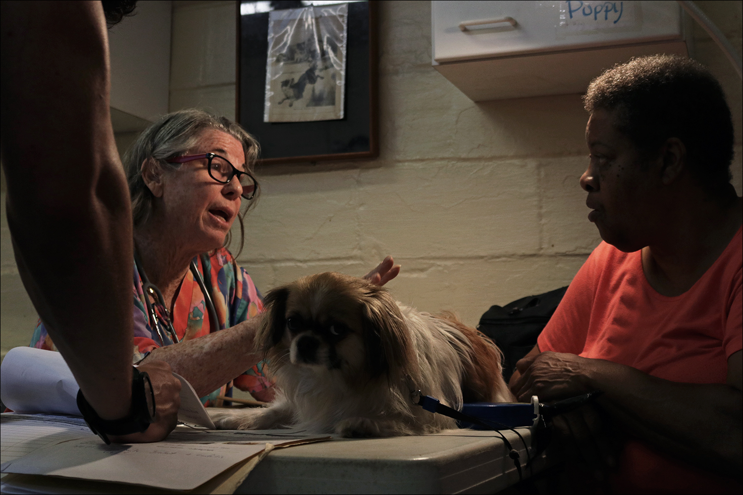 Dr. Dale Kaplan-Stein, one of the clinic's founders, discusses Chip's health with his mom, Roche Vann. Vann arrived at the clinic at 6 a.m., two hours before it opens, to be the first in line. (Kaitlin Hall/WUFT News)