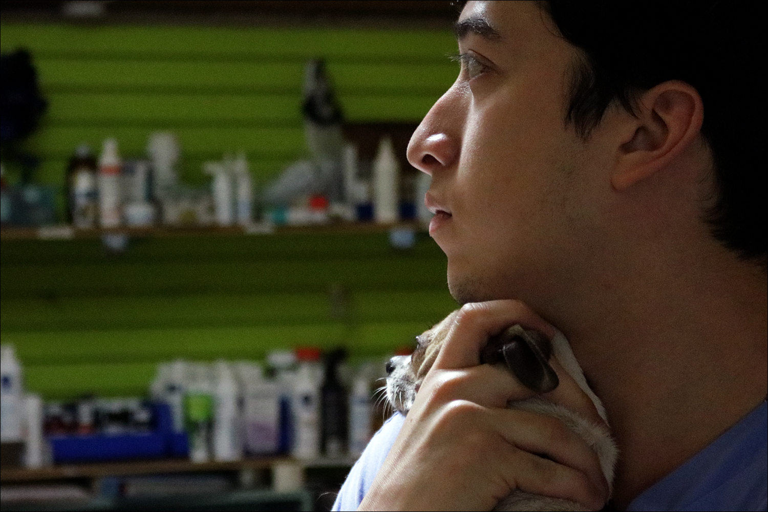 David Rodriguez cradles Nate as he gets his nails clipped. Often, one volunteer will hold a pet while another trims the pet's nails. This keeps the animal calm and both volunteers safe. (Kaitlin Hall/WUFT News)