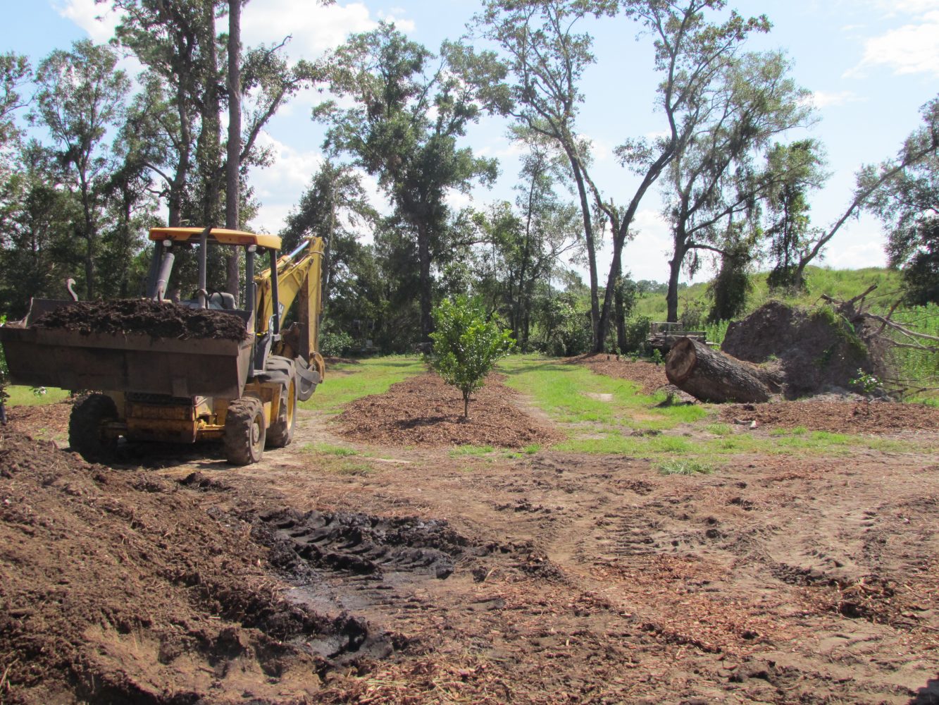 As Hurricane Irma swept across Florida last week, its floodwaters and winds dealt blows to the state’s farms, including Gainesville’s Family Garden, which lost an estimated 30 percent of its crops. Most damages were caused by trees that had fallen onto crops or floodwaters that washed them out, said James Longanecker, a farm coordinator at Family Garden.
