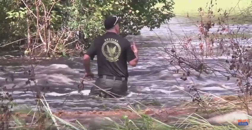 Emergency responders, including deputies from the Alachua County Sheriff’s Office, are continuing their response to the aftermath of Hurricane Irma. To see this firsthand, WUFT News rode along with Deputy Chris Sims on Tuesday, joining him on a search-and-rescue effort and an alligator encounter.