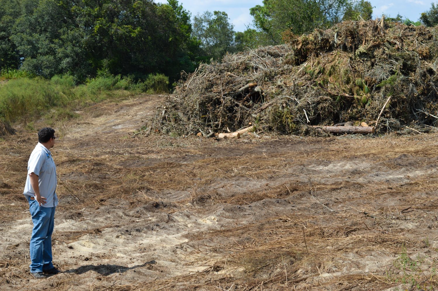North Central Florida counties have submitted their plans for debris cleanup following Gov. Rick Scott’s Monday directive that they do so, and one, Columbia County, says it’s almost done. In Alachua County, debris collection began last week, and the full process — which includes three collection trips through all neighborhoods and disposing of it — will take about three months, said Sally Palmi, Alachua County’s director of solid waste and resource recovery.