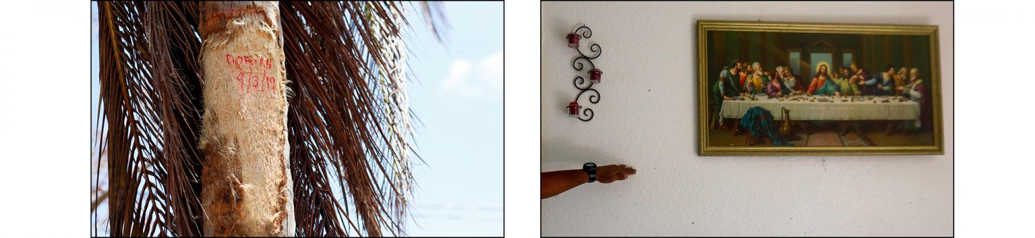 The height of flood water from Hurricane Dorian is marked on a palm tree outside of Steve Copperthwaite's home in the Queen's Cove neighborhood of Freeport, Grand Bahama on Sept. 17, 2019. At right, David Williams points out how high the flood water rose in his home beneath a painting of The Last Supper in his home in Freeport, Grand Bahama on Sept. 17, 2019.