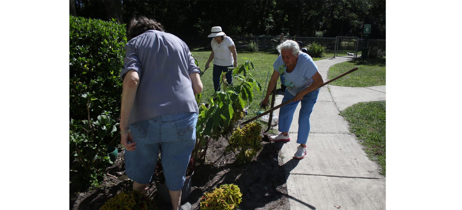 Beth Paglianlrini (left), Carole (middle) and Aida Balkcon (right) work in the garden outside of Carole's apartment complex. All three women live in the complex and often spend time together working on the garden. Aida frequently walks Carole's dog Kiki and Beth watches Kiki if Carole leaves the complex to get groceries or medication.