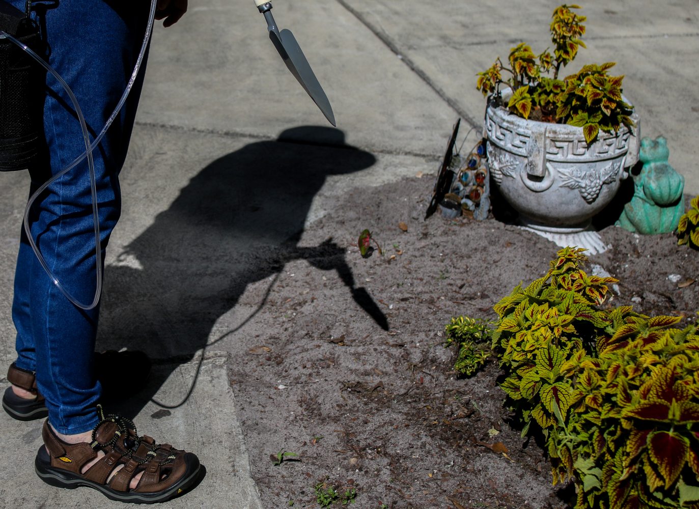 Carole pauses to look over the flowers in the garden outside her apartment complex. Each summer Carole plants new flowers in the plot of dirt as a way to get outside. However, she fears this may be the last year she can as she tires more easily then she used to and can't work in the heat for long.