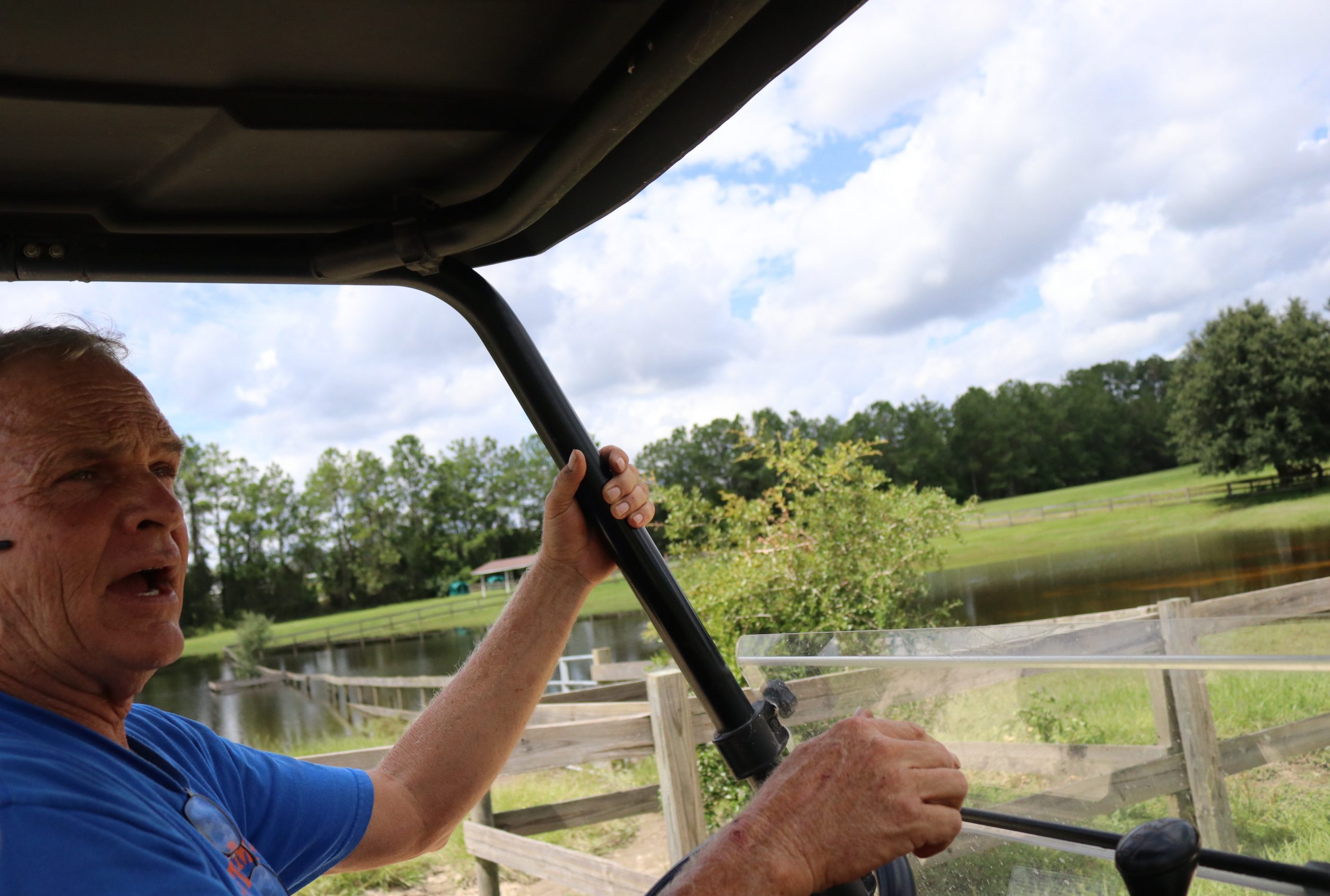 Irma has left a destructive trail of flooding, power outages and gas shortages across Florida. And while many people got in their cars just before it hit and fled north and west to safety, Paul Gregory stayed home to care for Mill Creek’s 140 horses — and Lady Guinevere the hound. The 400-acre sanctuary is home to retired military, police and circus horses as well as those that were neglected and abused and then rescued by other organizations. Some of them are blind, some are emaciated, and all are at least 20 years old. “All that matters is that they’re all safe," Gregory said.