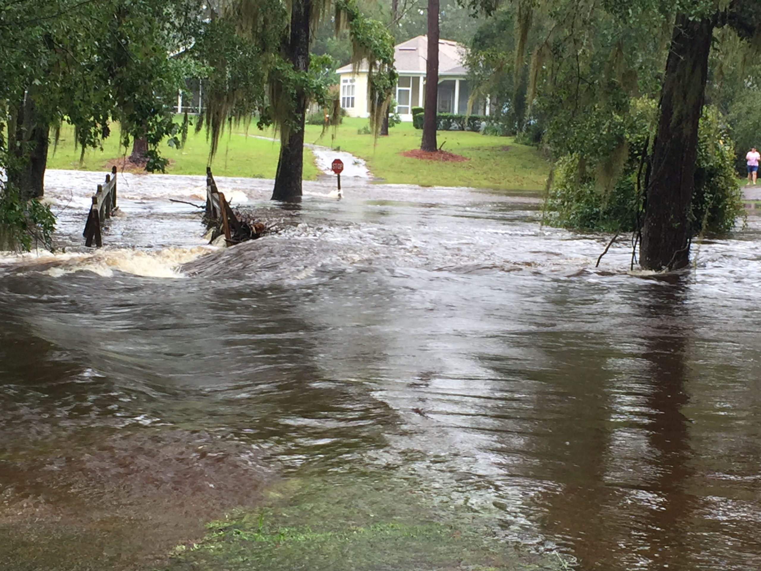 This gallery was put together with the help of the Banjo app. Using social media posts, Gainesville residents shared with others the effects of the storm around the community. This image is the flood waters rushing through the Turkey Creek subdivision in Alachua following heavy rains from Hurricane Irma.