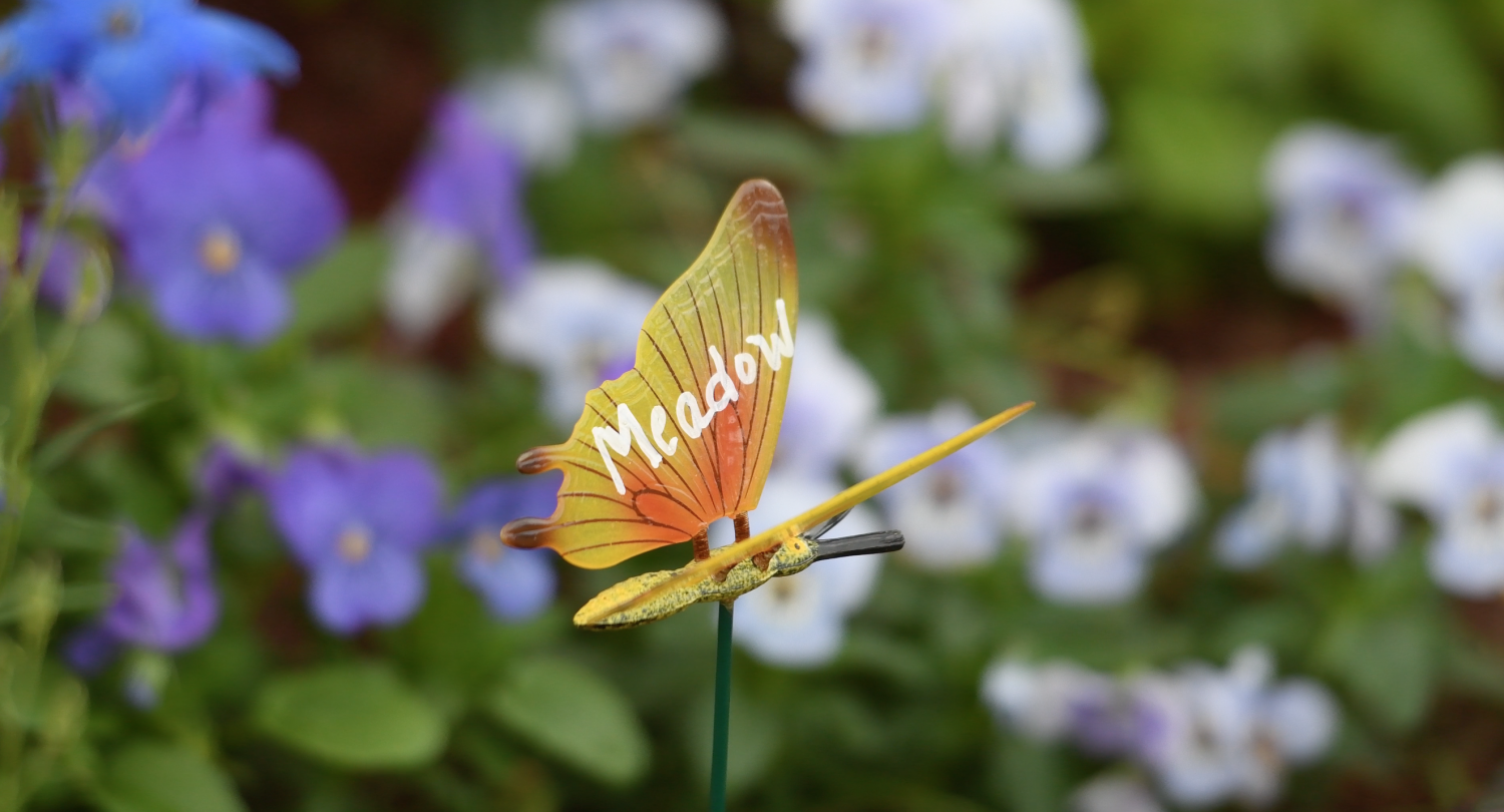 A plastic butterfly bearing Meadow's name flies in the Marjory Stoneman Douglas Memorial Garden at the intersection of Pine Island and Holmberg Roads. Meadow was 18.